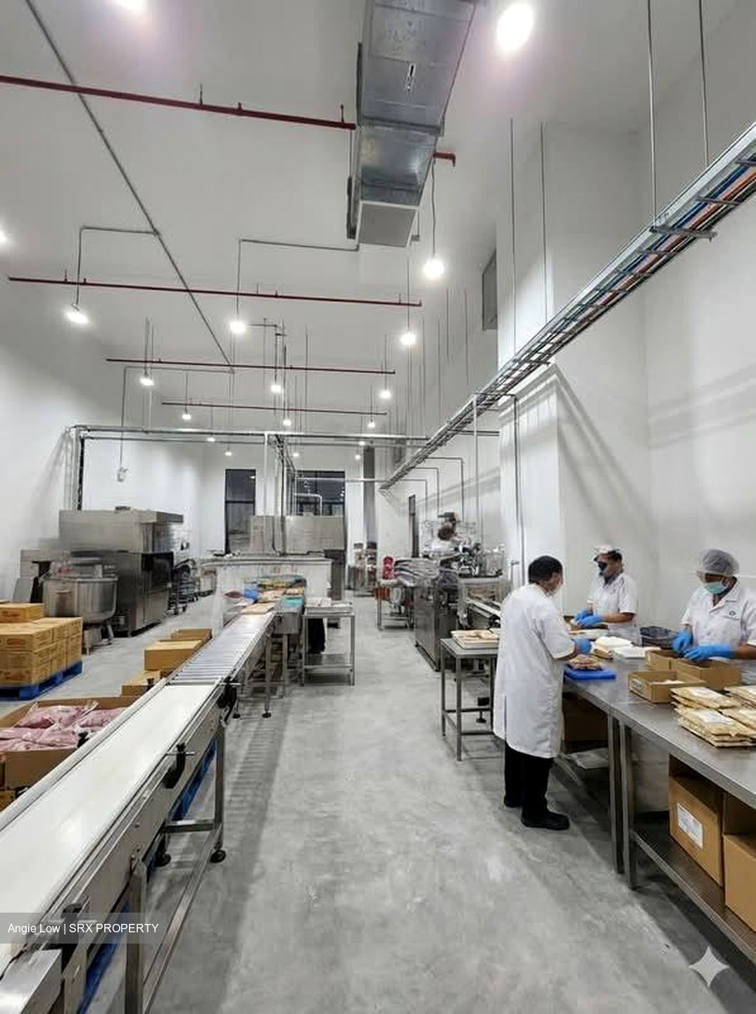 Mauser Singapore (D22), Factory #572095471